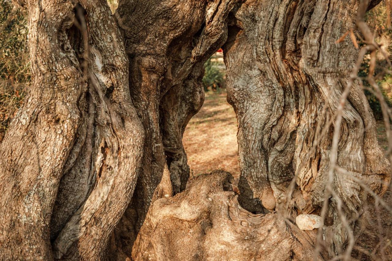 Sikalindi Apulia Gagliano del Capo Exterior foto